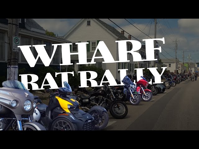 Wharf Rat Rally Walkaround | 2024 Digby