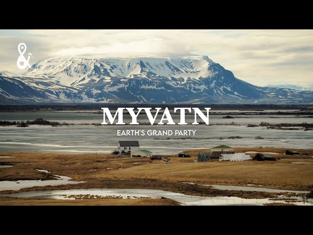 LAKE MYVATN: Planet Earth's Grand Party 🇮🇸 | Hverir, Hverfjall, Skutustadir & Dimmuborgir