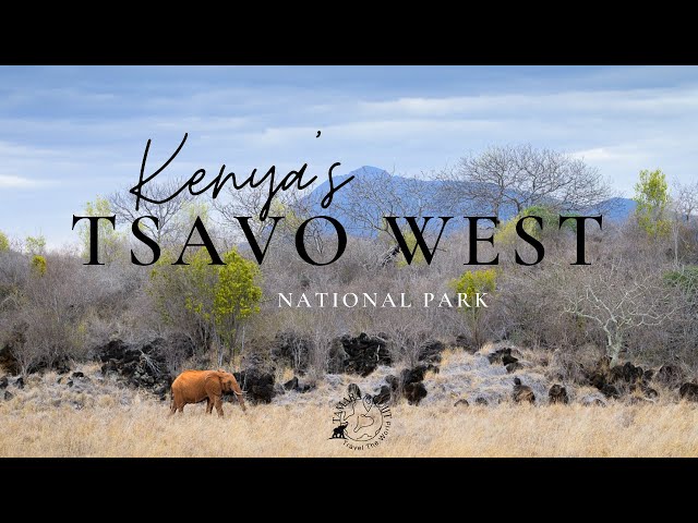 Tsavo West National Park, Kenya's largest national park!