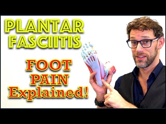 What Causes Plantar Fasciitis - Foot Anatomy - Dr Gill