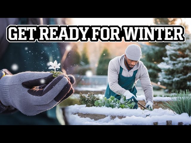 How to Prepare Your Garden for Winter (and Why You Should)