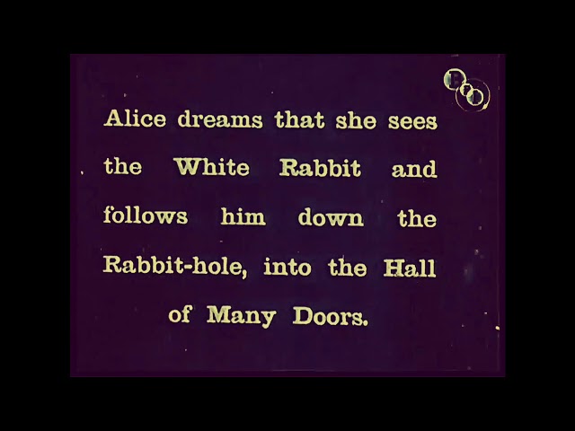 Down the rabbit hole