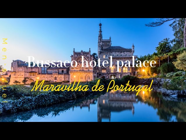 The most beautiful palace Hotel in Portugal - Bussaco hotel Palace, a hidden wonder.