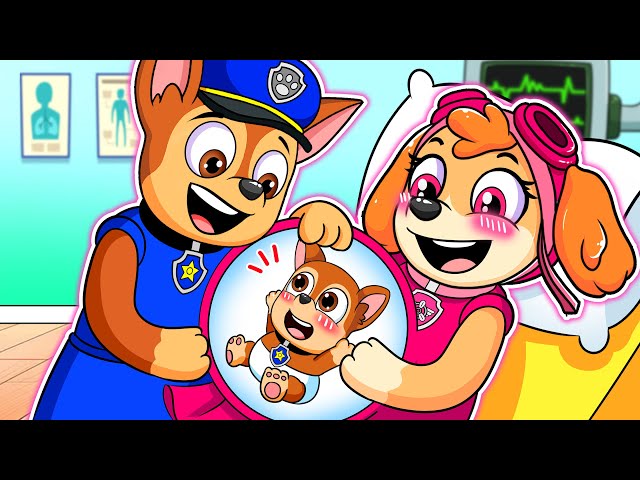 Paw Patrol Ultimate Rescue | Dad Chase & Mom Skye Love Story with Cute Chase Baby! Funny | Rainbow 3