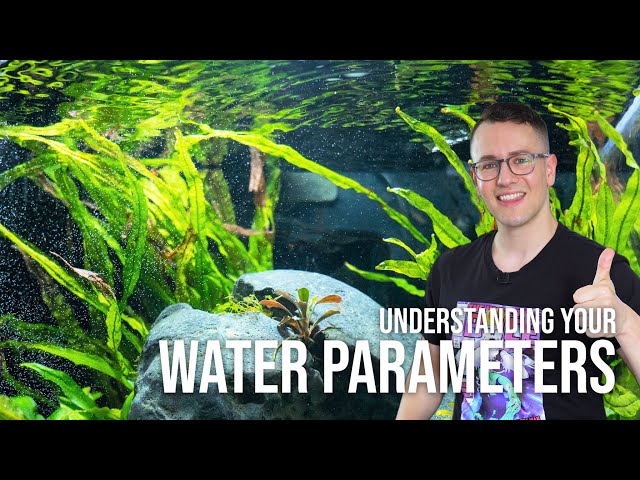 Planted Aquarium Water Parameters for Beginners (pH, GH, KH) | EP8 Planted Tank Overview