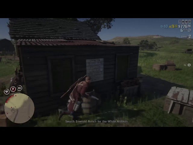 Rdr 2 online play