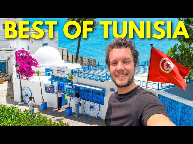 Tunisia's Most Beautiful Beach Towns! 🇹🇳 Sidi Bou Said & Hammamet