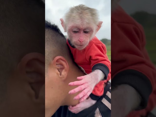 Bibi hugs dad's head🥰