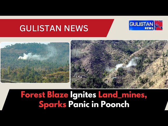 Forest Blaze Sets Off Land-mines Along LoC in Poonch, Jammu and Kashmir