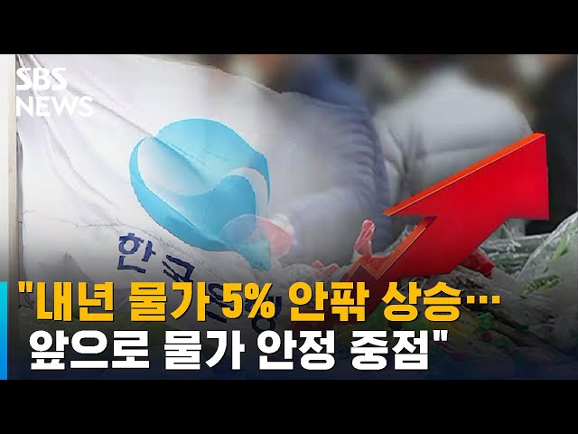 한은 "내년 물가 5% 안팎 상승…물가 안정 중점" / SBS