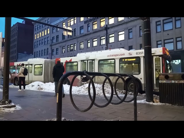 OC Transpo Bus #6351 A 2008 New Flyer D60LF Articulated Low Floor Bus | 7 ST-LAURENT