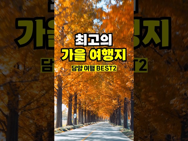 우리나라에서 가장 아름다운 길❤️ 최고의 가을 여행지, 담양 여행 가볼만한곳 2( 관방제림 담양 메타세쿼이아길)