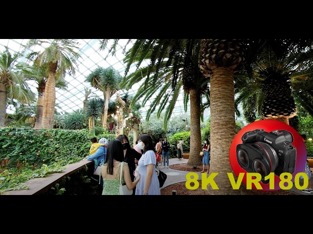 WORLD RECORD BIGGEST GLASSHOUSE the amazing plants inside 8K/4K VR180 3D (Travel Videos/ASMR/Music)