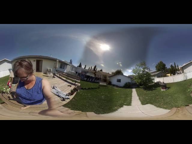 A 360 video of my yard.