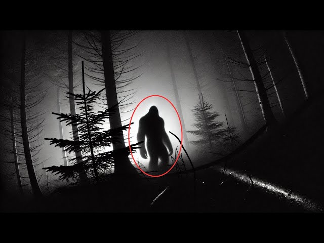 Bigfoot and Cryptids: The Clearest Sightings Captured on Camera in 2024