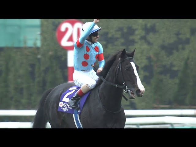 World's best racehorse! EQUINOX dazzles in the Japan Cup