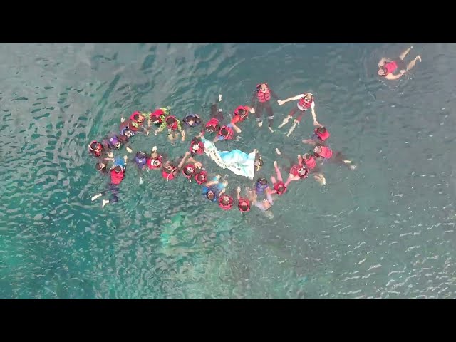 Snorkeling di Pulau Karimunjawa