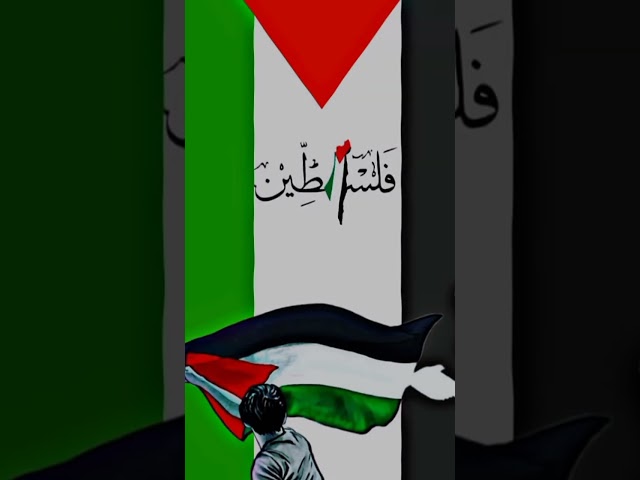 #free palestine #free suria✌🏻💚🇵🇸