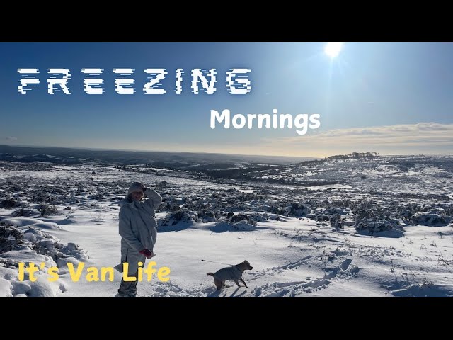 Surviving Freezing Mornings in the Van | Snowy Adventures on Dartmoor