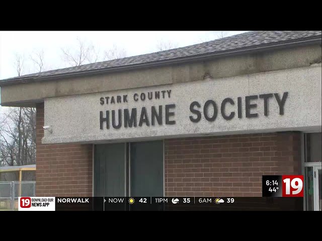 Stark County Sheriff’s Office recovers dog that was allegedly stolen from humane society