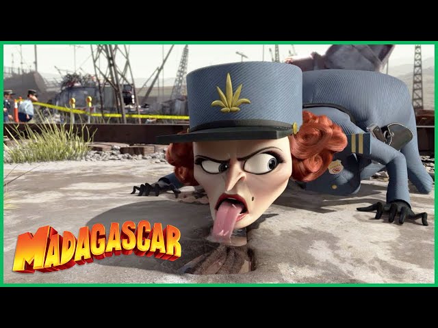 DreamWorks Madagascar em Português | A Capitã Dubois Vai à Caça | Madagascar 3: Os Procurados