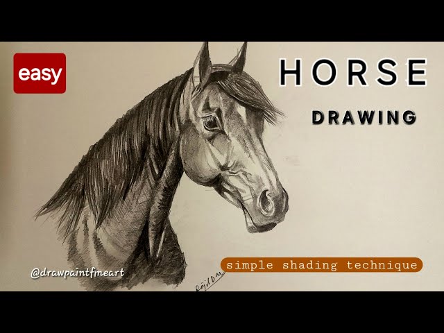 EASY Horse Drawing Technique | SIMPLE Shading | Horse Head