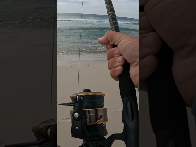 #fishingvideos #saltlife