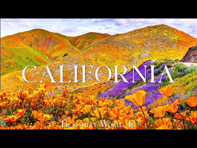 California 4K - Vibrant Spring Bloom with Scenic Coast and Wildflowers - 4K UHD