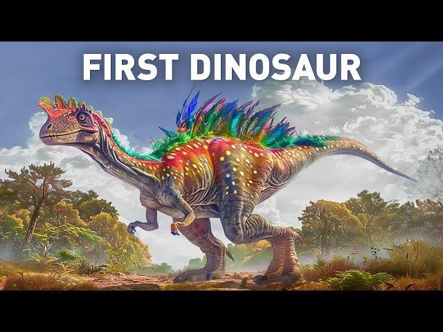 Full Guide to Dinosaur Evolution | Documentary