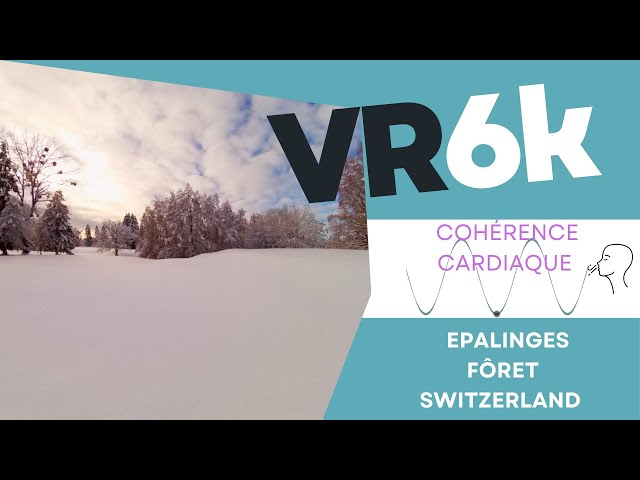 Cohérence cardiaque pour tous - VR Immersive 360 degrés avec aide respiratoire 5 mins exercice