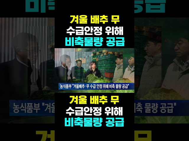 [한국농수산TV] 겨울 배추 무, 수급안정 위해... 비축물량 공급