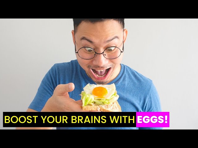 Eggs Boost Brainpower | Future Technology & Science News 518