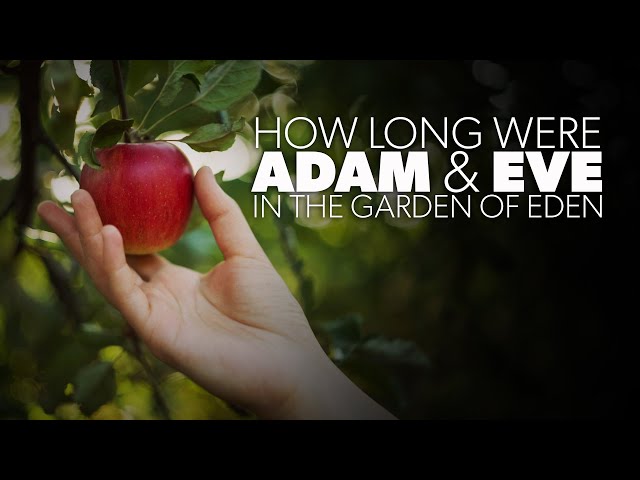 How Long Were Adam and Eve in the Garden of Eden? | Creation Questions