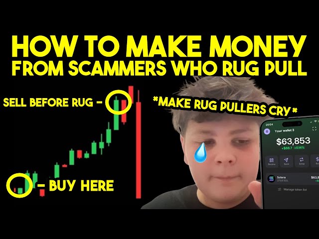 How To Make Money From Scammers Before They Rug Pull Memecoins! (SCAMMER REVENGE)