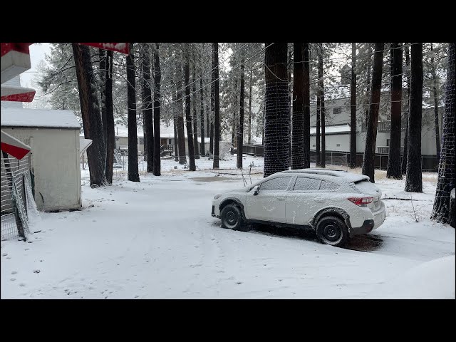 🔴LIVE. Con￼tinued Major Storm Covergae in Big Bear Lake, CA. Heavenly Out Here. 2/14/2025