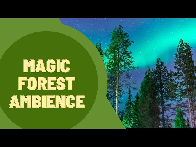 10 hours of Magic Forest sounds / Relaxing crickets / Night in forest ambience