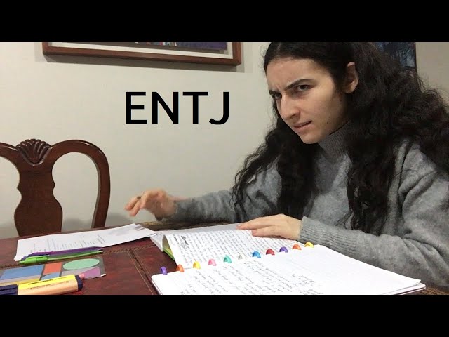 ENTJ - INTP study session