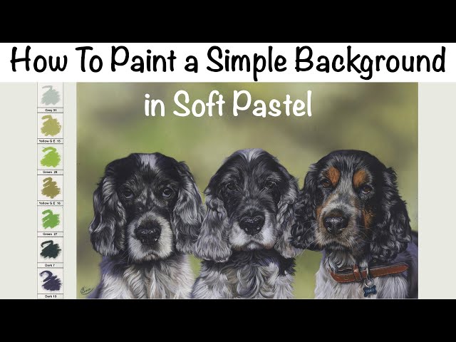 How To Paint a Simple Background in Soft Pastel - REAL TIME Tutorial!