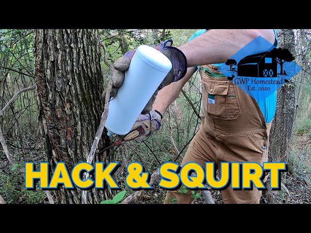 How to Use the Hack & Squirt Technique for Timber Stand Improvement