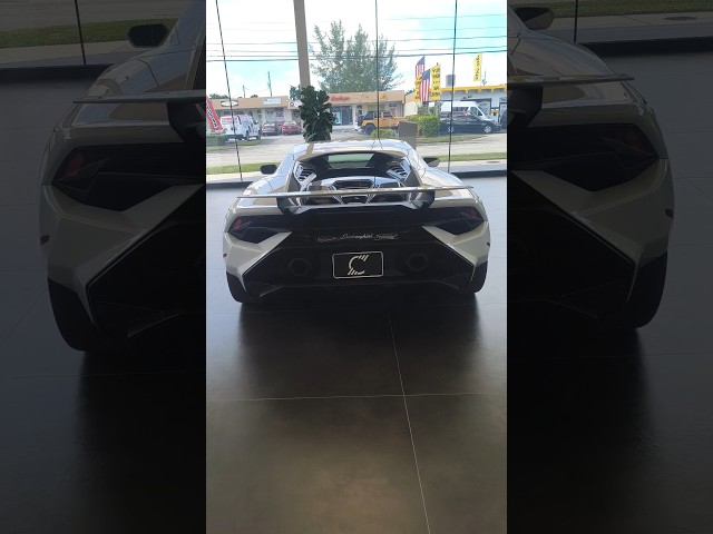 Lamborghini #shortvideo #shorts #status #lamborghini #short #share