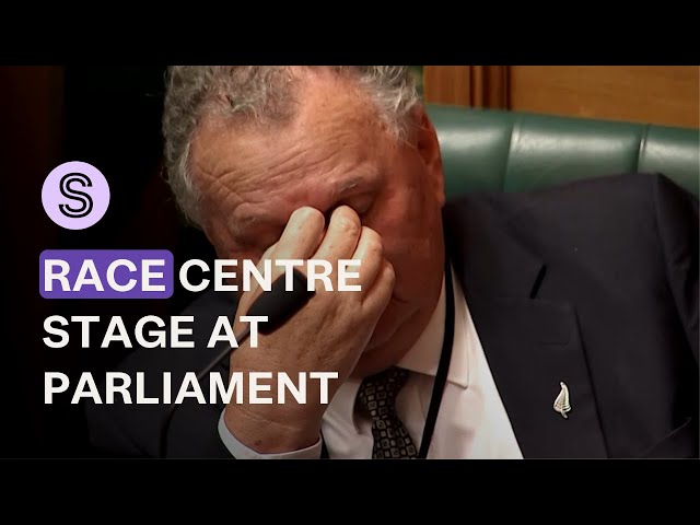 Race takes centre stage at Parliament as NZ First MP shouts ‘send the Mexicans home’ | Stuff.co.nz