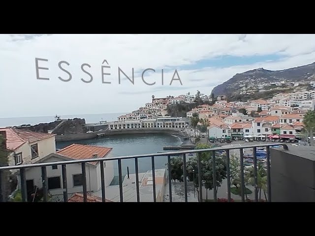 Essência | 360 video | VR