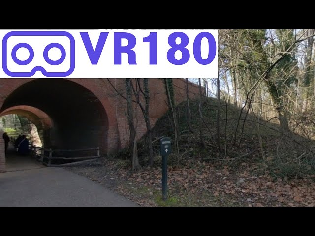 Colonial Williamsburg Stream Mediation VR180