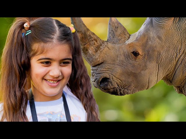 Australia Zoo Kids Animal Adventure! | The Yes Experiment