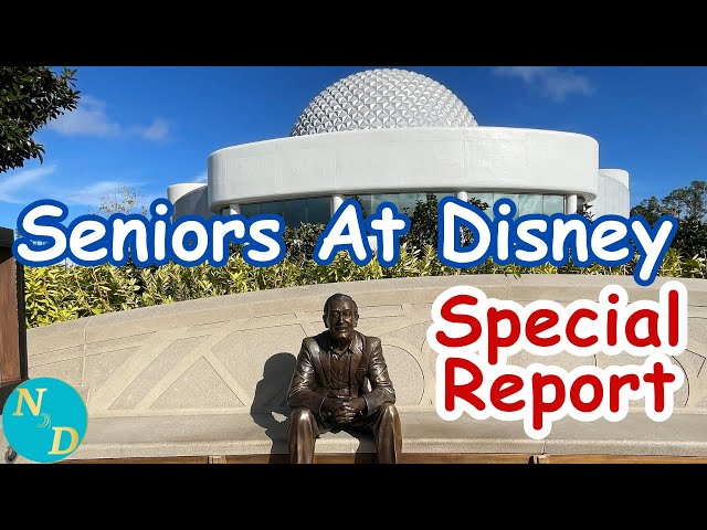 Improving The Disney Parks Experience For Adults & Seniors