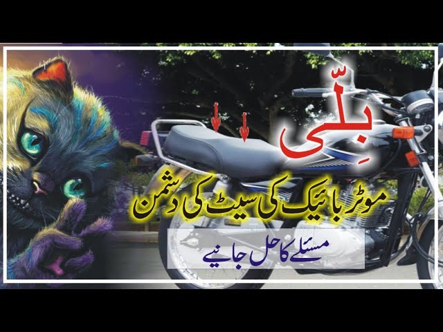 Cat Scratches Bike Seat | Solution | Majid Hashmi