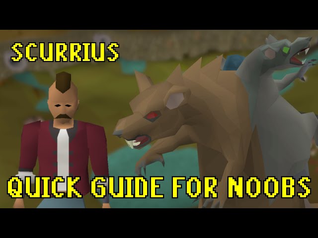 OSRS Scurrius Ultimate Quick Guide FOR NOOBS (best first boss)