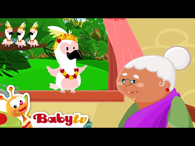 La cacatúa  - Canción del Loro 🦜 | Clásicos Inmortales | Canciones para Niños 🎵 @BabyTVSP