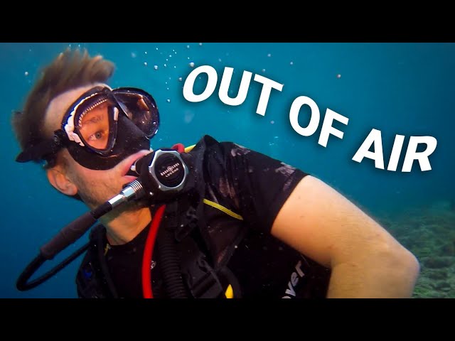 What to Do if You Run Out of Air Scuba Diving?!