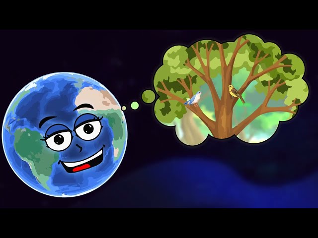 Student Supplement | Space Series: Tree Facts for Kids